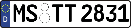 MS-TT2831