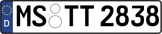 MS-TT2838