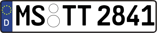 MS-TT2841