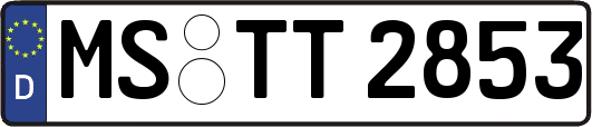 MS-TT2853