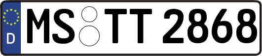 MS-TT2868