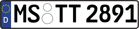 MS-TT2891