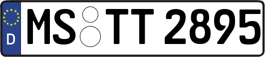 MS-TT2895