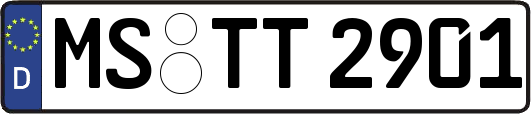 MS-TT2901