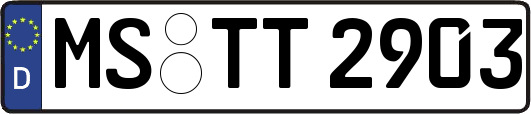 MS-TT2903