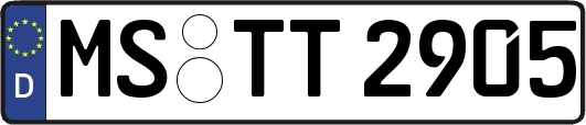 MS-TT2905
