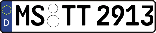 MS-TT2913