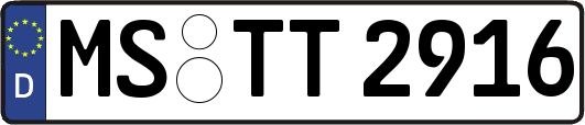 MS-TT2916