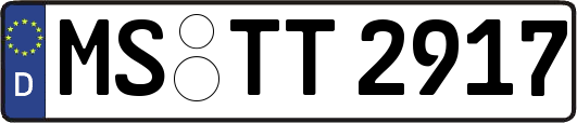 MS-TT2917
