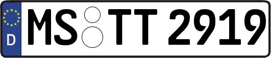 MS-TT2919
