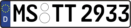 MS-TT2933