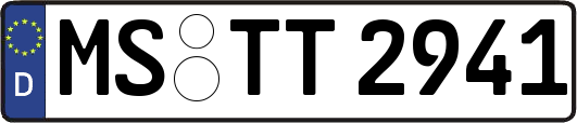 MS-TT2941