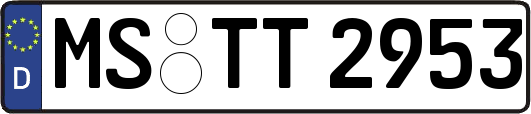 MS-TT2953