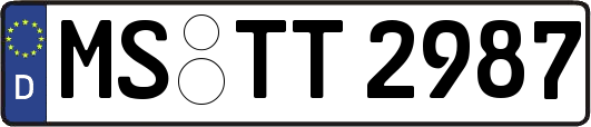 MS-TT2987