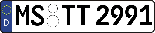 MS-TT2991