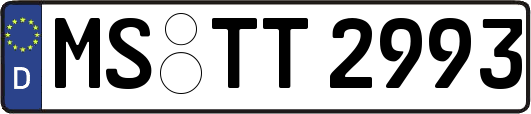 MS-TT2993