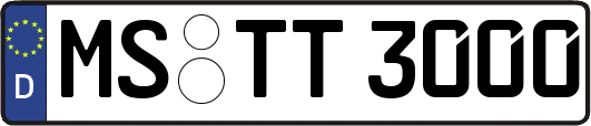 MS-TT3000