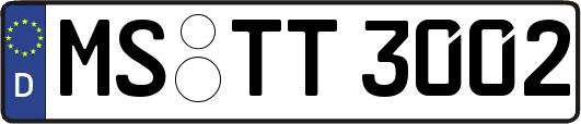 MS-TT3002