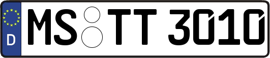 MS-TT3010