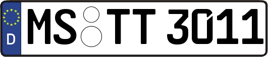 MS-TT3011