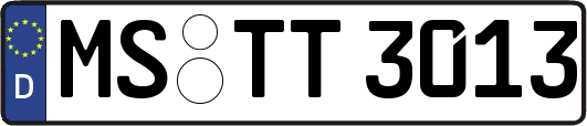 MS-TT3013