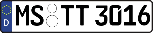 MS-TT3016