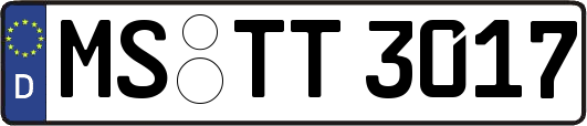 MS-TT3017