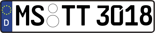 MS-TT3018