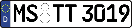 MS-TT3019