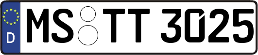 MS-TT3025