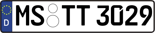 MS-TT3029
