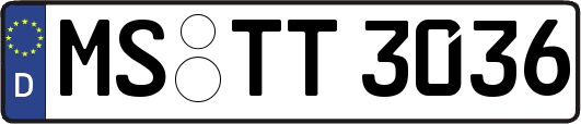 MS-TT3036