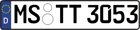 MS-TT3053