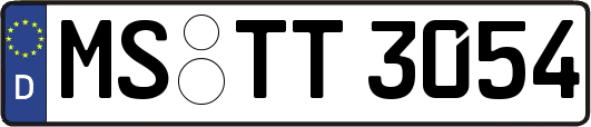 MS-TT3054