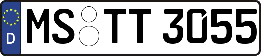 MS-TT3055