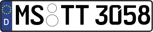 MS-TT3058