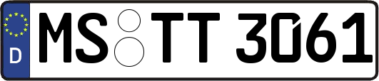 MS-TT3061