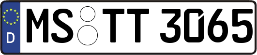 MS-TT3065