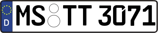 MS-TT3071