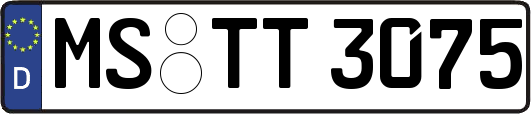 MS-TT3075
