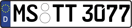 MS-TT3077