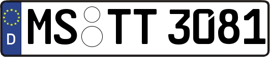 MS-TT3081