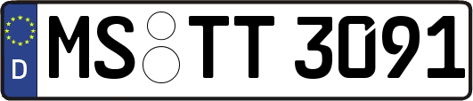 MS-TT3091