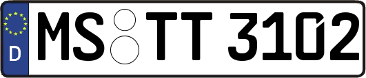 MS-TT3102