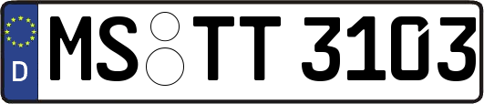 MS-TT3103