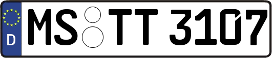 MS-TT3107