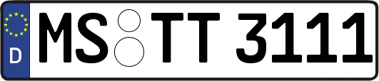 MS-TT3111