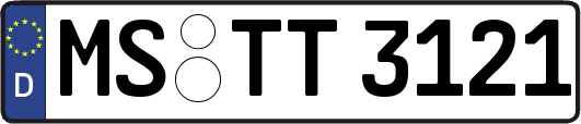 MS-TT3121