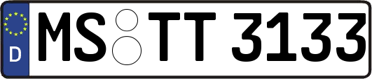 MS-TT3133