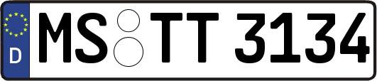 MS-TT3134